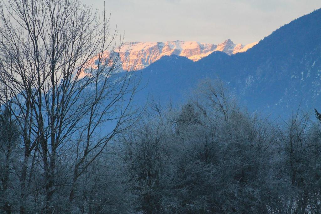 Hotel Kraftquelle Schlossblick Angerberg  Eksteriør bilde